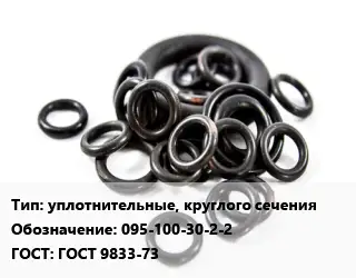 Кольцо РТИ уплотнительные, круглого сечения 095-100-30-2-2 ГОСТ: ГОСТ 9833-73